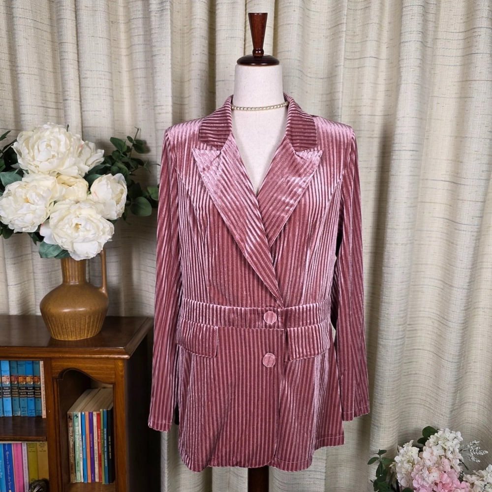 Light Pink Velvet Blazer Boho Romantic Coquette Fairy Size Large - Picture 2 of 16
